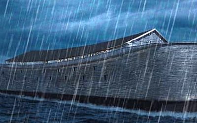 Mindfulness Practice: An Ark in the Storm